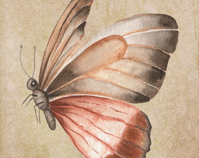 Vintage Butterfly Art Print, Antique Nature Illustration, Botanical Wall Decor, Rustic Butterfly Poster