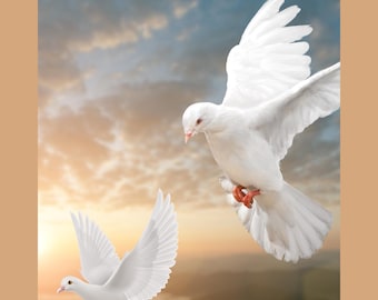 Doves in Flight Sunset Print: Peaceful Nature Wall Art, Spiritual Home Decor