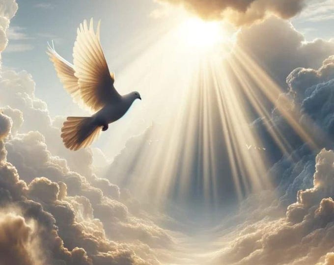 Peaceful Christian Wall Art, Dove Flying in Gray Clouds with Sunlight, 16x20 Spiritual digital print, Dove Aesthetic, instant download print