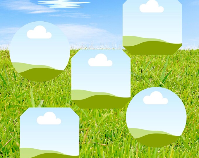 Custom Photo Collage Print: Nature Scene with Flowers & Birds (Digital Download 16x20")