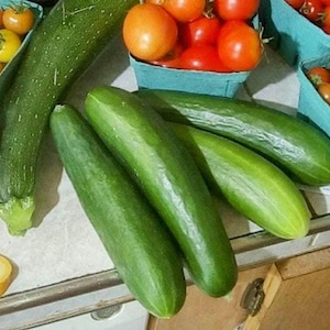 May include: Fresh produce arrangement featuring green cucumbers, zucchini, and various tomatoes in blue containers. Strawberries and yellow squash are also visible, creating a colorful display of fresh vegetables and fruits.
