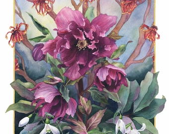 Fine Art Print of Original Watercolor Painting - Garden Icons: The Hellebore