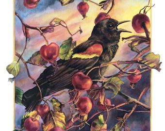 Fine Art Print of Original Watercolor Painting - The Song