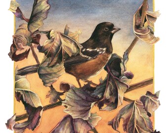 Fine Art Print of Original Watercolor Painting - Aglow