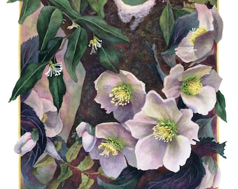 Fine Art Print of Original Watercolor Painting - Snowmelt