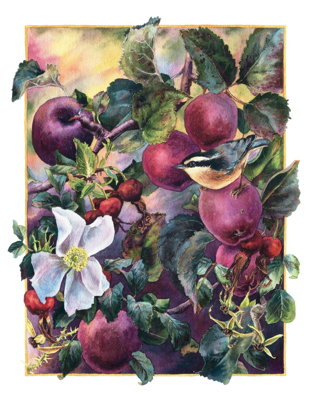 Fine Art Print of Original Watercolor Painting - Wild Apples, Wild ...