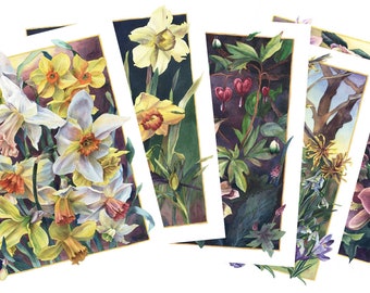 Set of 5 Cards - Spring Greetings Series