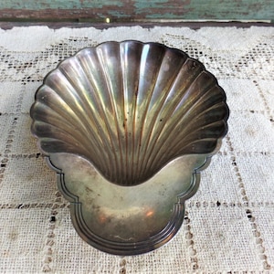 May include: A silver-colored, scallop-shaped dish with a smooth, reflective surface. The dish is designed to resemble a seashell and has a slightly curved, rounded shape.