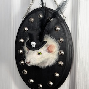May include: A taxidermied white rat wearing a miniature black top hat with a skull emblem, mounted on a black oval plaque. The plaque is adorned with silver studs and black feathers. A silver chain is used for hanging.