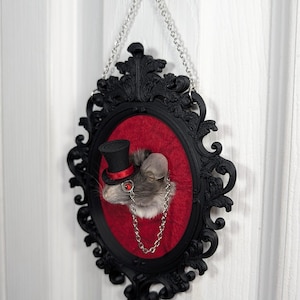 Dapper Monocle Mouse Taxidermy Head Mount Red and Black
