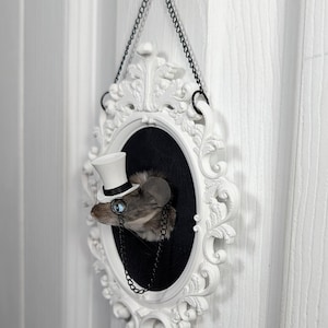 Dapper Top Hat and Monocle Mouse Taxidermy Head Mount -white and black