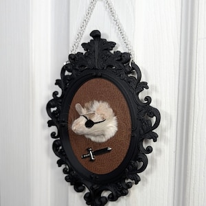 Pirate With Eye Patch Mouse Taxidermy Head Mount - Black and Dark Brown