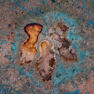May include: A close-up of a rusty metal surface with a unique pattern of brown, orange, and blue hues. The pattern resembles a leaf or a flower.