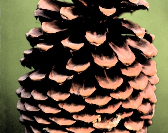 RESERVED for Gayle /// Custom Coffee Table, Metal Legs, Green Moss Stone Centerpiece, 30" w x 30" l x 16" tall.  Custom Finish