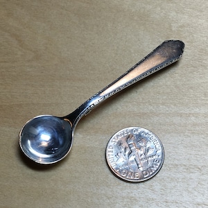 May include: A small, silver salt spoon with an ornate handle. The spoon is about the size of a dime.