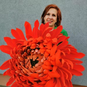 Extra Large Chrysanthemums. XXL Flower. Unique Wedding Garden Decor. Photoshoot İdea. Oversized Aster. 70 cm Flower. Wedding Floral Backdrop