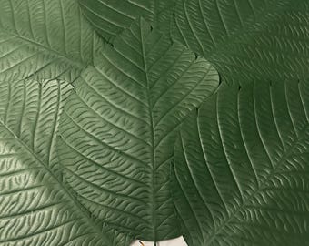 10 Large Artificial Green Leaves, Wedding Backdrop, Photo Zone, Event Decor (29x22 cm)
