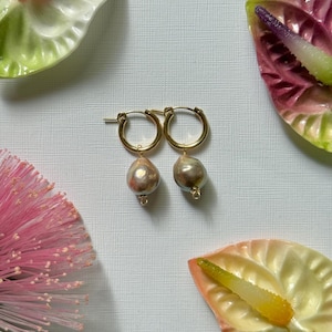 14k gold filled huggie hoops with large pastel edison pearls