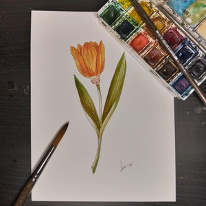 Tulipe, aquarelle originale, illustration traditionnelle surréaliste, dessin floral, surréalisme botanique, visage floral délicat, peint à la main