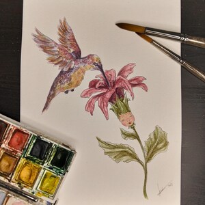 Fiore con colibrì, acquerello originale, dipinto a mano, illustrazione botanica, fiori surreali, viso in fiore, disegno tradizionale, uccello