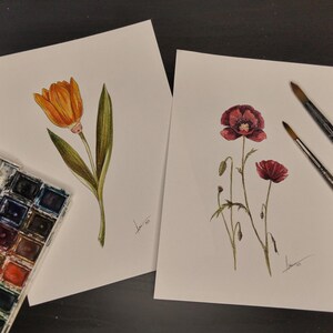 Pack de deux illustrations botaniques, coquelicots et tulipe, deux feuilles peintes à la main, fleurs surréalistes, illustration enfant, décoration