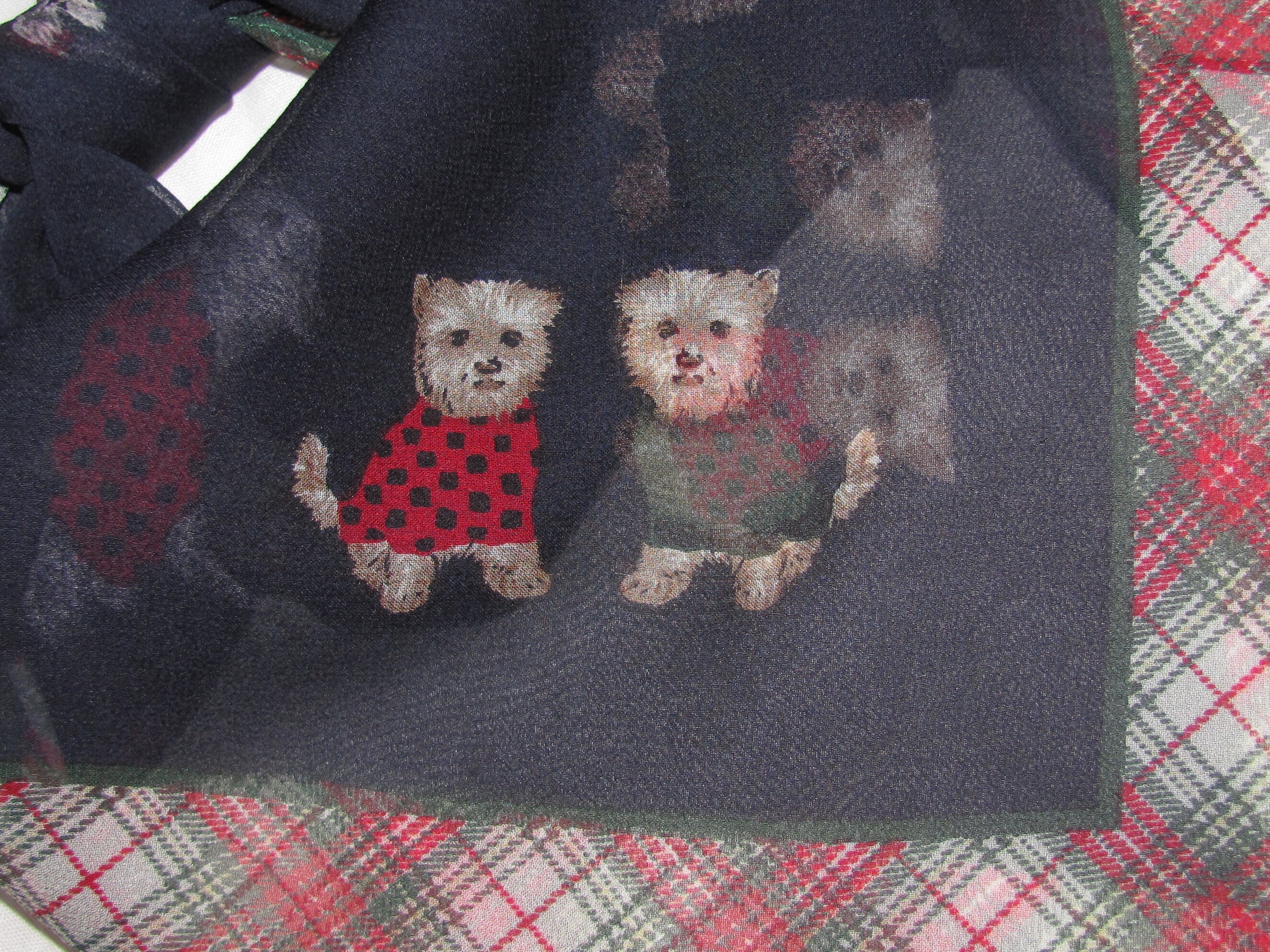 Talbots dog shop sweater