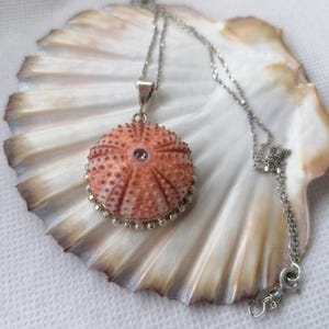 Pode incluir: Um colar de prata com um pingente de ouriço-do-mar rosa e branco com um pequeno cristal transparente no centro.
