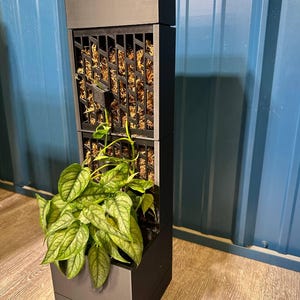 Modern Planter - Standard - Moss Pole with Pot