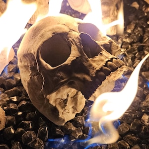 May include: A beige skull rests on a bed of black stones, with flames of fire surrounding it. The flames have yellow and blue hues. The skull is the focal point, with visible eye sockets and nasal cavity.