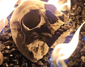 Fire pit skull. Full size replica of a Human Skull. Flat back no mandible. Hand poured with refractory cement. Temps up to 2300 degrees.