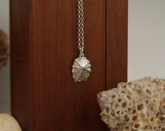 Limpet Shell Necklace | Beach Jewellery | Silver Sea Shell Pendant