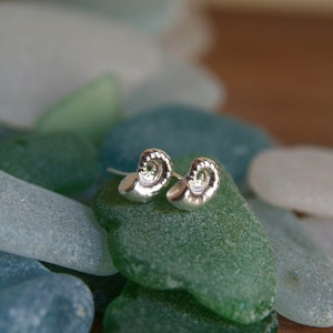May include: A pair of silver earrings shaped like seashells. The earrings are small and delicate, and they have a textured surface.
