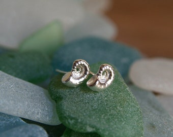 Silver Spirula Shell Earrings | Nautical Silver Stud Earrings