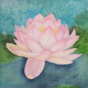 Lotus in Bloom