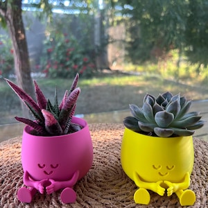 Happy Planter Pot :) Funny Planters, Small Succulent Pot, Funny Plant Pot Gift , Cactus pot planter, Quirky Home Decor Idea,Succulent Lovers
