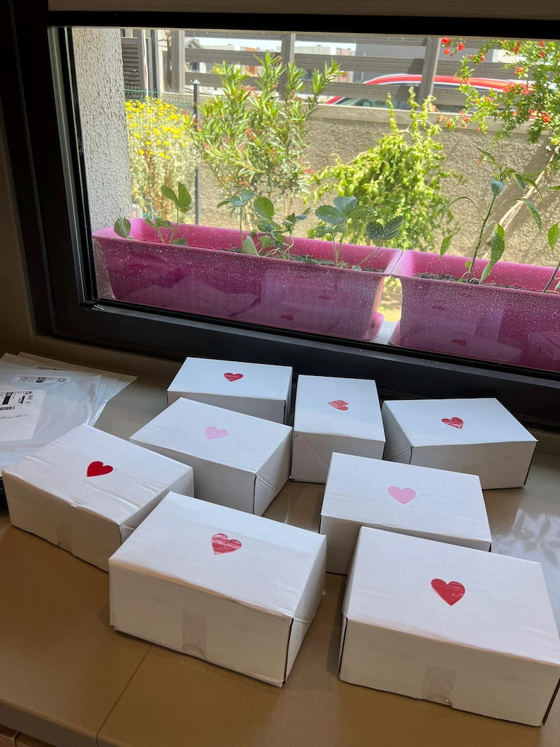 Puede incluir: Una colecci&oacute;n de cajas de cart&oacute;n blancas, cada una adornada con una pegatina en forma de coraz&oacute;n en varios tonos de rojo y rosa. Las cajas est&aacute;n dispuestas sobre una encimera, con una ventana y plantas en el fondo.