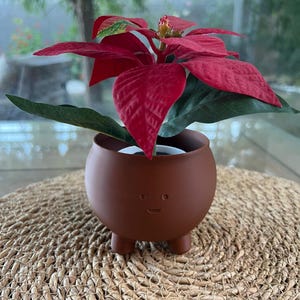 Happy Planter Pot - Cute Smiling Face Design, Modern Decor for Indoor Plants, Unique Gift Idea, Succulent & Cactus Planter, Gift for Her