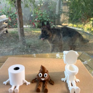 Puede incluir: Tres figuras caprichosas: un rollo de papel higi&eacute;nico blanco, un emoji de caca marr&oacute;n y un inodoro blanco. Cada uno tiene brazos y piernas. Un perro pastor alem&aacute;n es visible a trav&eacute;s de una ventana en el fondo.