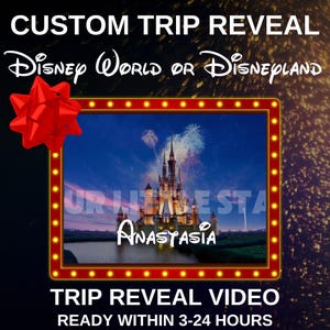 Disney Personalized Surprise Video Message, Surprise Trip Video Reveal, Disney World Trip Reveal, Disneyland Surprise Trip Video Reveal