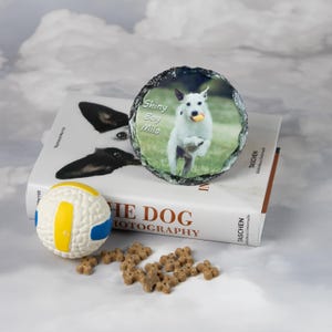 Personalized Pet Photo Slate Coasters: Custom Animal Lover Gift