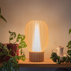 May include: An illuminated amber table lamp with a ribbed glass shade and a textured base. The lamp is on a wooden shelf, with potted plants on either side. The warm light creates a cosy atmosphere in the room.