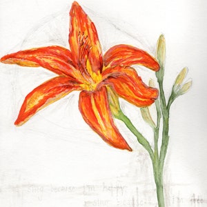 Daylily Meditation in the Garden Print