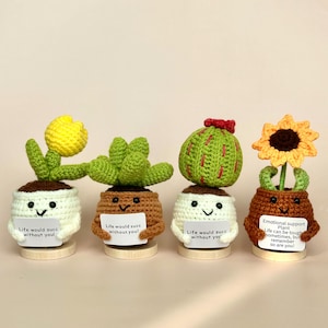 Meilleur cadeau de soutien émotionnel, adorable fleur positive au crochet, cactus positif, décoration de bureau, copain de bureau au crochet, cadeau pour elle, cadeau positif