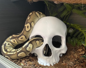 Ball  Python corn hog nose Snake enrichment Skull toys for Reptile