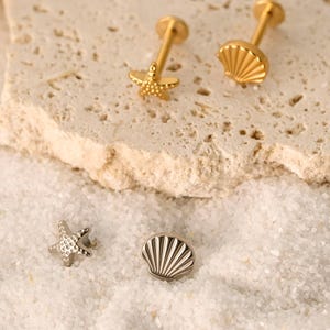 16G / 18G Sommer am Meer Ohrstecker Set • Seestern Muschel Set • Flachrückseite Ohrring • Tragus Ohrstecker • Helix Muschel Ohrstecker • Knorpel • Geschenk Set