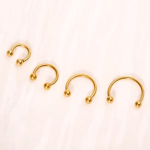 16G Titan Stahl Hufeisen Barbell Creolen • Huggie Ohrringe • Knorpel Hoop • Nase Hufeisen • Helix Septum Schmuck • Septum Hufeisen