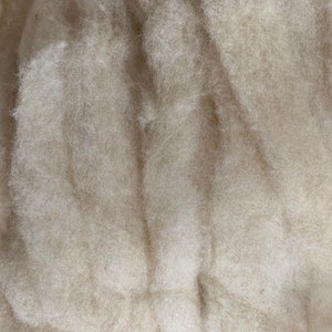 May include: Close-up of a pile of natural, off-white wool fibers. The fibers are soft and fluffy, and they have a slightly textured appearance.