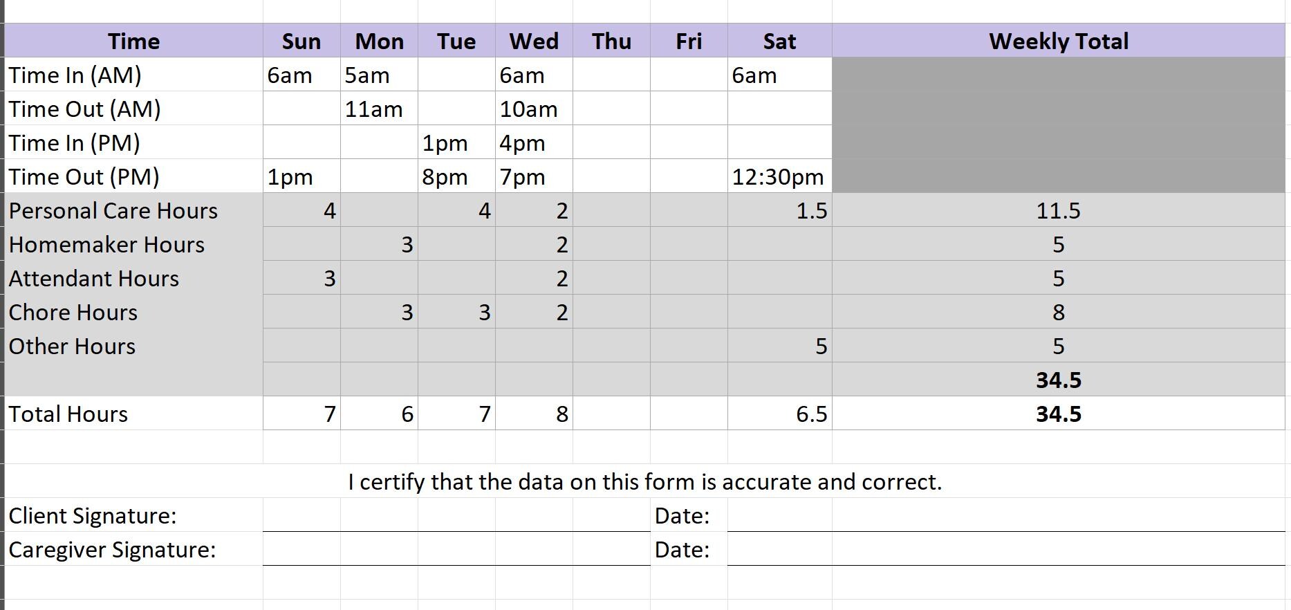 Caregiver Progress Note | Printable Excel Template, Weekly Care Log - Etsy
