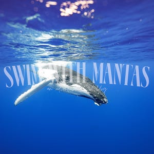 Humpback Whale Metal Print