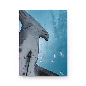 Shark Hardcover Journal, Notebook